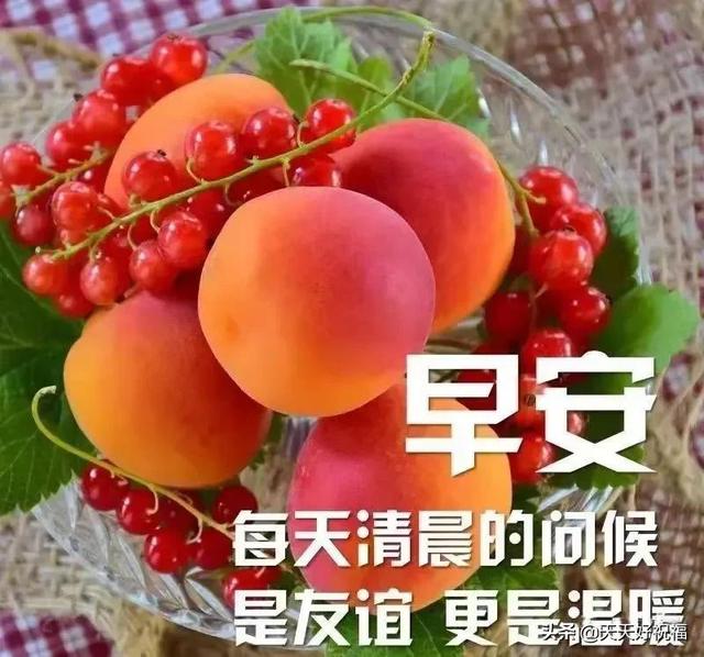 好看的聊天背景图唯美(不用打字就可以聊天的唯美图片)