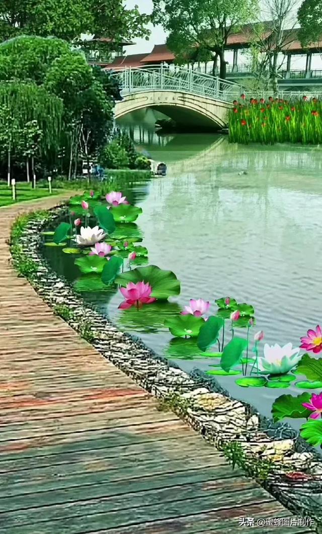 快手封面文字上热门的短句(相片壁纸仙境 抖音快手背景图，小桥依依水不流，绿树红花开桥头)