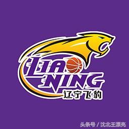 飞豹app(CBA半决赛辽宁男篮新主场已定！票价及赛程公布如下：)