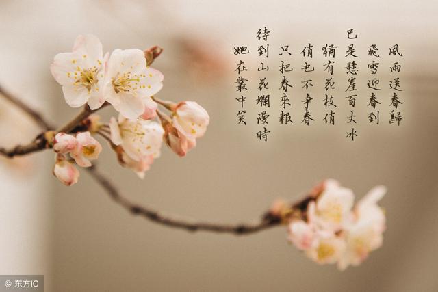 诗的写法有哪些(十种古诗的写法)