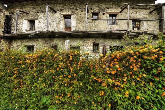 华夏族灭绝了(生育率下降，民族会消失吗？)