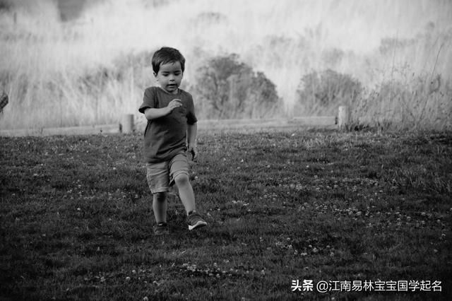 志在必得的意思(鼠年出生的男孩名字推荐，过目不忘，读完唇齿生香)
