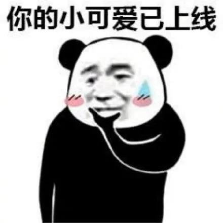 照片拼图软件哪个好(照片排版不高级？看看这4款宝藏排版App吧)