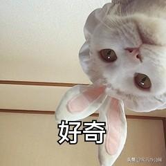 图片加水印怎么弄(在图片上如何添加水印？两种方法交给你)