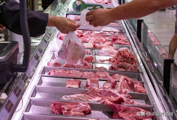 钢易网今日钢材价格行情(猪肉又降价了！上周猪肉批发价每公斤44.14元，环比降2%)