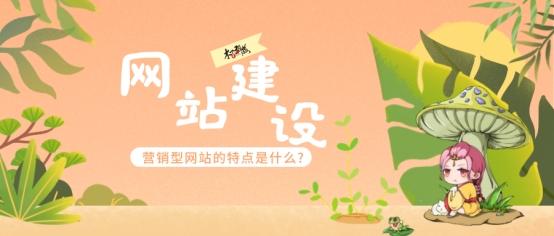 企业营销型网站的特点(营销型网站的特点是什么？)