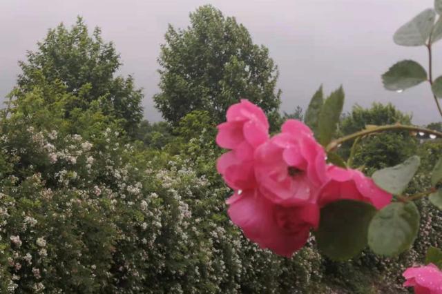 衣服卖点介绍大全(关于“职业卖点”，这可能是一篇颠覆你认知的文章)