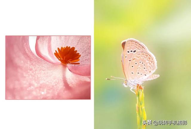手机怎么提高图片清晰度(你的手机拍照不清晰？症结在这里)