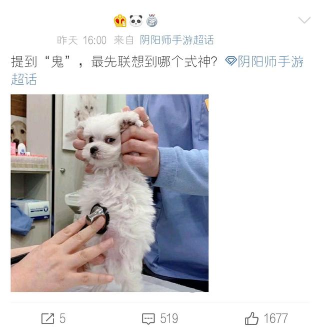 武士之灵哪里多阴阳师2020(阴阳师：与鬼相关的式神联想，有个还没上线，还有一个姓赵)
