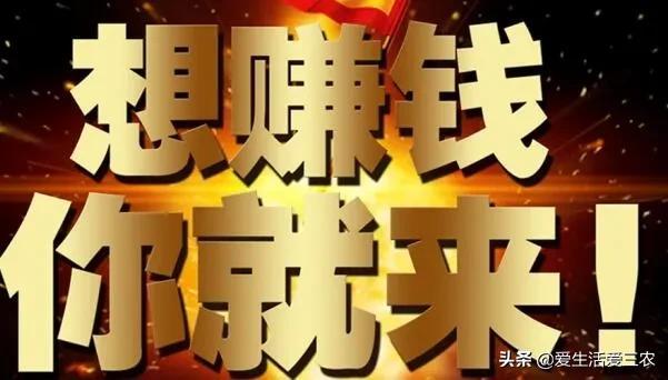 比较稀缺的冷门养殖业(农村4大冷门养殖——养小虫，挣大钱！)