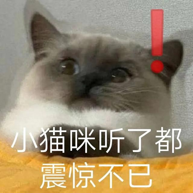 时髦家庭微信群名英语(寝室群名大赏｜科院这些奇葩的群名里有你吗？)