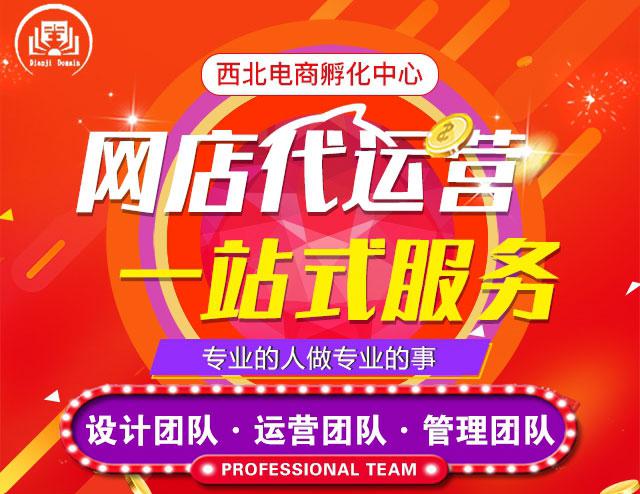 西安淘宝培训学校(西安哪里有淘宝培训班)
