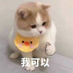 微信聊天记录如何录屏(如何保存微信视频聊天的画面和语音？这样的操作简单又实用)