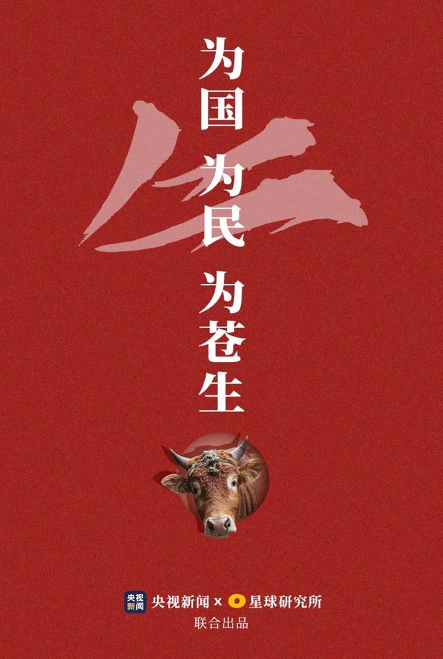 中国牛，是真牛！（上）(下载牛影像)