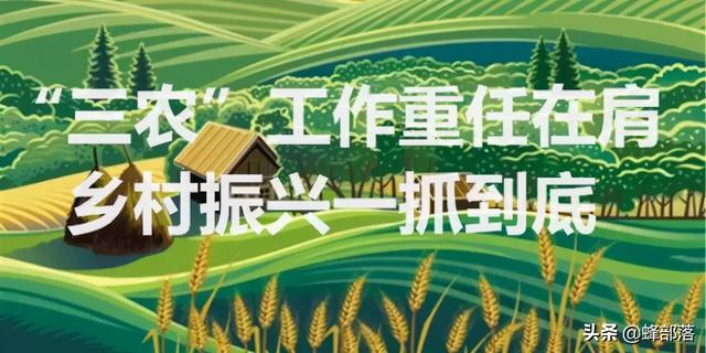 农村种养殖创业项目(在农村，养殖这9种鱼，周期短利润高，管理好赚60万不难，值得干)