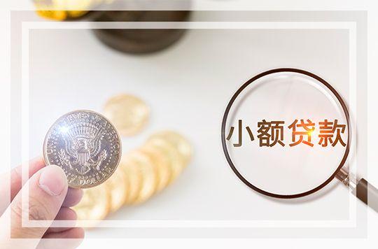 小额贷款网 徐州(江苏终止89家小贷公司经营资格｜附名单)