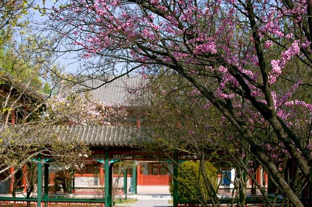 经济学季刊投稿要求(【征稿】第四届“中国劳动经济学者论坛”年会暨《经济学（季刊）》专场研讨会征稿通知)