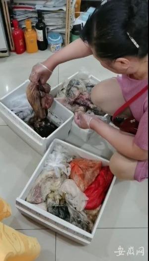 合肥电费欠费后交费多久会来电(合肥一住户不在家冰箱断电十二天 数千元食物腐坏该谁来买单？)