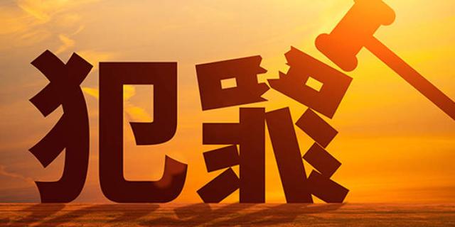 怎么挣大钱违法也可以(判刑！在读研究生开发非法“薅羊毛”软件5个月赚了300万)