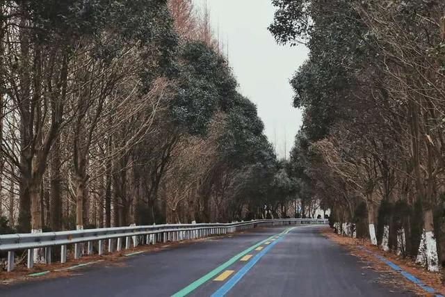 海堤是什么意思(沿着盐城海堤寻鹿)