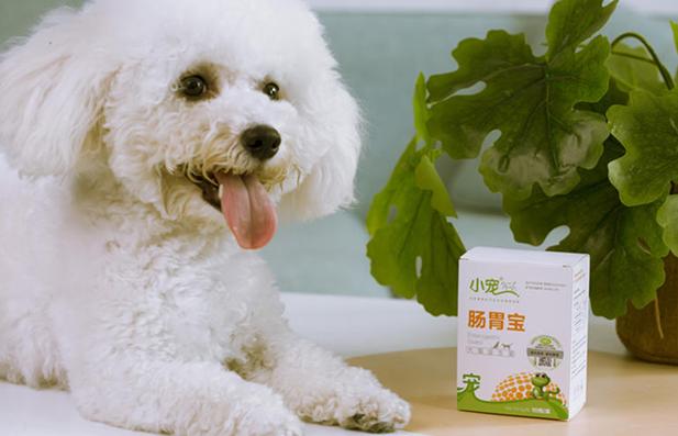 肠胃宝益生菌(为什么选择肠胃宝？肠胃宝怎么喂给狗狗？)