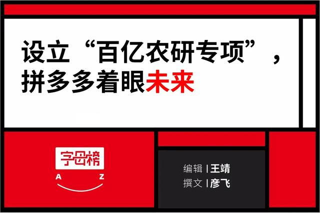 拼多多电话400电话(拼多多走到了十字路口)