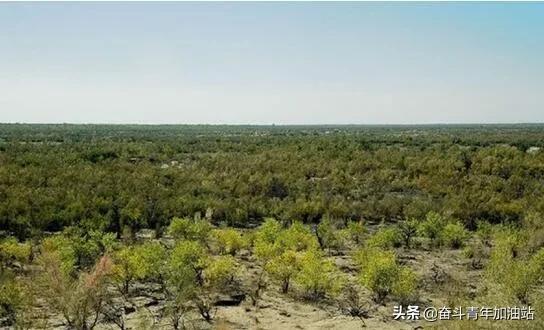 蚂蚁森林怎样让能量多40多kg(支付宝蚂蚁森林想获取更多能量吗？看这里)
