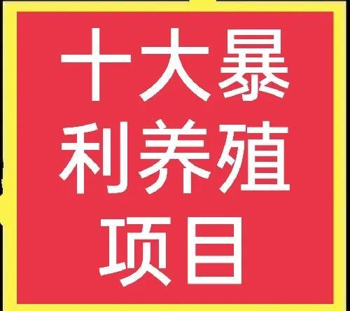 养殖业什么赚钱最快(十大高收益养殖项目，想赚钱的不可错过)
