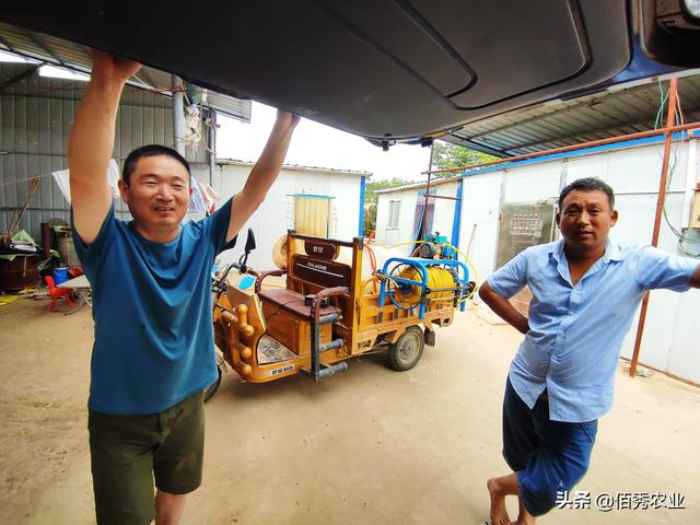 农业创业项目农村致富项目(实在不想打工了，想回农村创业，选了4个好门路，请大家支招)