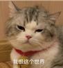 划痕险多少钱一年2021年(2021年，车险这么买，最划算)
