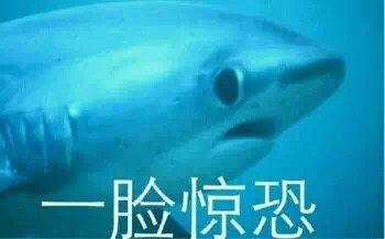 姓名身份证号查询系统(可怕！你的身份证、电话、银行卡，这网站全能查到)