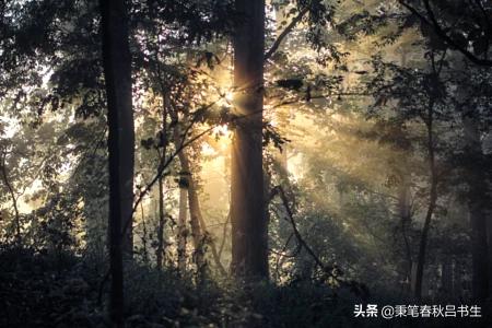 严白虎的弟弟(严白虎：吴郡豪族，隐迹山林)