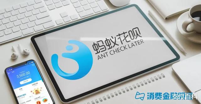 花呗支持信用卡还款吗(重磅！花呗最新整改动作流出，分期支持信用卡)