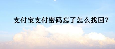 支付宝支付密码忘了怎么办手机操作(支付宝支付密码忘了怎么办)