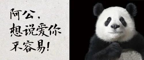 幼儿园微信公众号功能介绍范文(幼儿园公众号，想说爱你不容易)