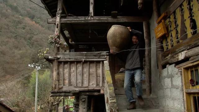 中央7致富经养雕视频(雪山遇大雕，烘干房起火...他硬是捡回一条命，打造出1200万产业)
