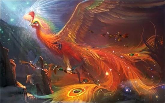 金乌与凤凰(百禽之王的神鸟凤凰，它究竟起源自何方，又是否真的存在过？)