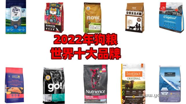 狗粮品牌十大排行(狗粮什么牌子好 推荐2022年狗粮界十大品牌)