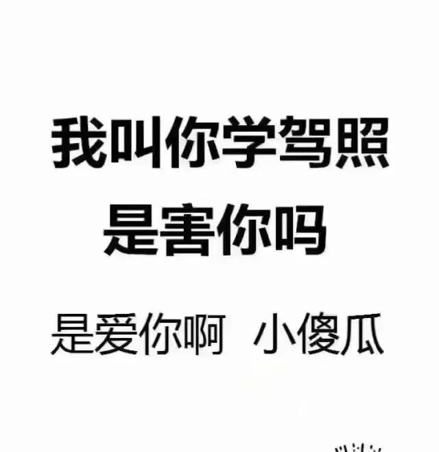 网上购买车保险怎么购买(报考驾校如何缴费最正确？)