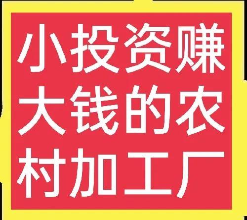 家庭小型加工项目大全(低投资，高回报的加工项目有哪些？)