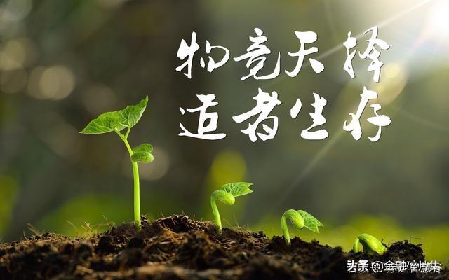 如何网上买股票新手入门(聊聊如何才能高效地学习炒股技术（方法篇）)