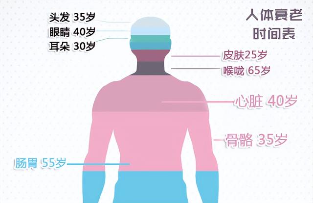现在换一个眼角膜需要多少钱?(打工人请回答，居家办公后你的筋骨还好吗？)