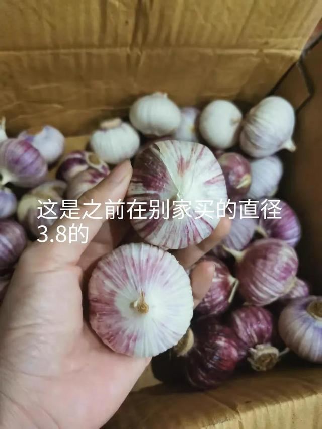 淘宝店小二处理问题要多久(你们在淘宝网购都是怎么维权的？)