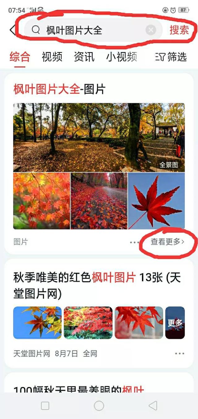 收藏在手机哪里找 视频(做自媒体，怎样把网上找到的图片和视频素材保存到手机相册)