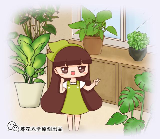 开个店铺做什么生意好(“黄金万两财通四海”，适合做生意养的6款植物，寓意超好)