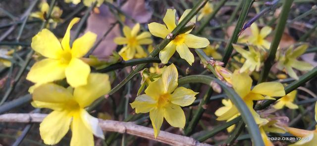两位数乘两位数(居家网课的孩子数学难不难？一幅图画教你两位数乘法，不错题)