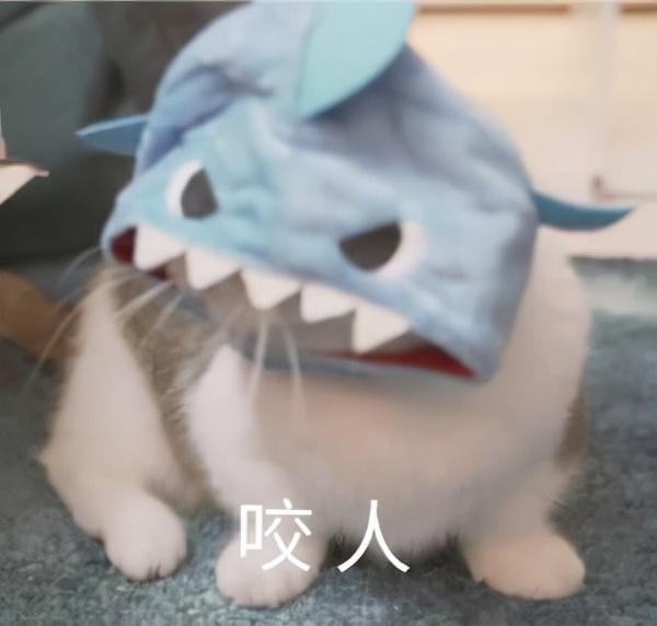 淘宝违规行为分为哪几种(10大淘宝违规降权重操作，新手开店必踩雷)