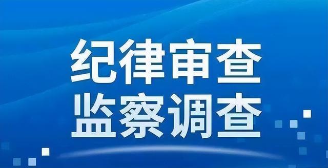 海宁市城市发展投资集团有限公司党委委员、副总经理裘靖荣接受纪律审查和监察调查(南湖清风网站)