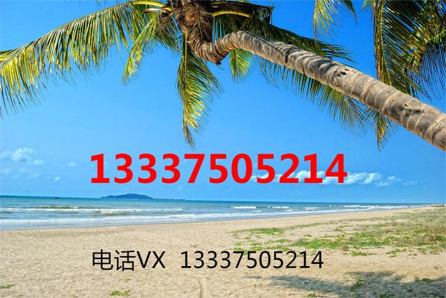 海南业主委员会成立程序(海南注册公司流程要求)