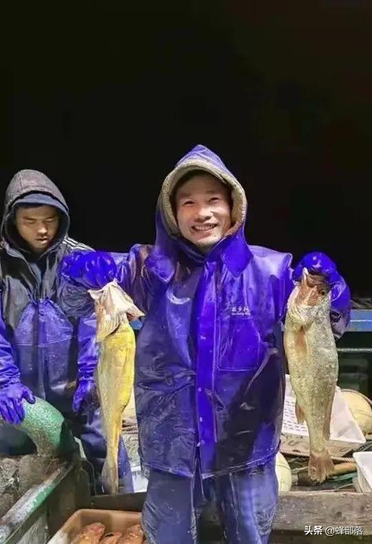有没有打鱼可以挣钱的(一网就捞957万元，做渔民很赚钱吗？4900斤野生黄鱼得主讲了实话)